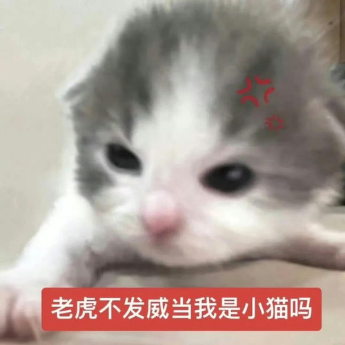 {"capa_image_quality_upload_keep_hdr":"1","capa_image_quality_hdr_strategy":"1","capa_image_quality_.jpg