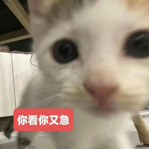 {"capa_image_quality_remove_exif_optimize":"1","capa_image_quality_upload_keep_hdr":"1","capa_image_.jpg