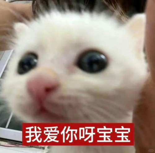 {"capa_image_quality_upload_keep_hdr":"1","capa_image_quality_remove_exif_optimize":"1","capa_image_.jpg