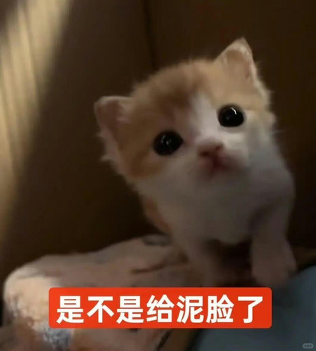 {"capa_image_quality_upload_keep_hdr":"1","capa_image_quality_remove_exif_optimize":"1","capa_image_.jpg
