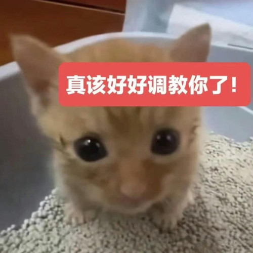 {"capa_image_quality_remove_exif_optimize":"1","capa_image_quality_hdr_strategy":"1","capa_image_qua.jpg