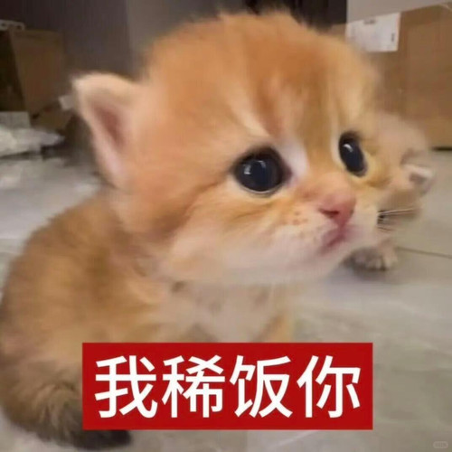 {"capa_image_quality_upload_keep_hdr":"1","capa_image_quality_remove_exif_optimize":"1","capa_image_.jpg