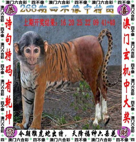 amsbx.jpg