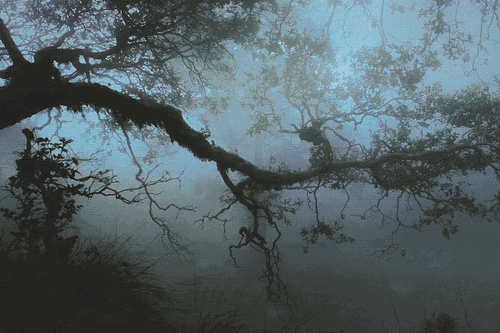 eb2ab267eb39ae6b80f0b7ae7cfc6e5f dithered.png