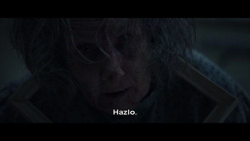 zvlcsnap 00004.png