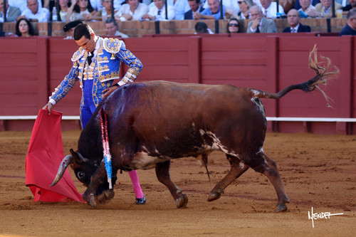 215A0200.jpg