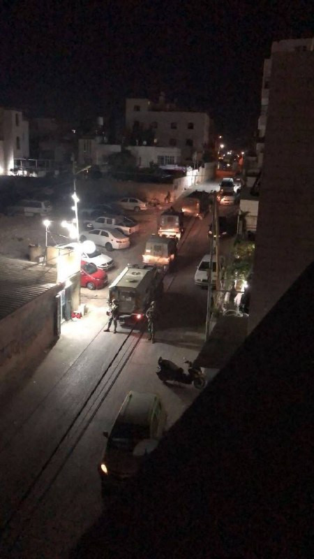 صورة الخبر