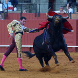 215A1294