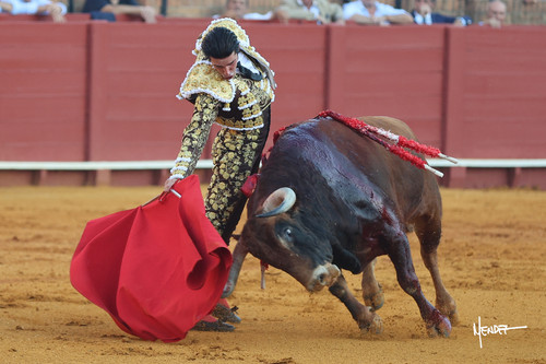 215A1724.jpg