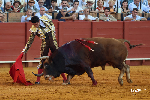 215A2013.jpg