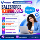 Salesforce Training Build Future-Ready Skills with Visualpath
