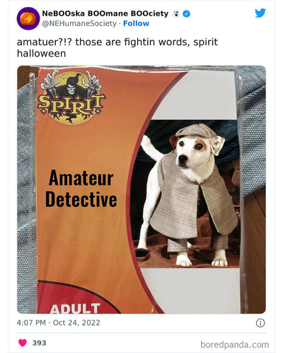 1584577339702534145 png 700 bordered.jpg