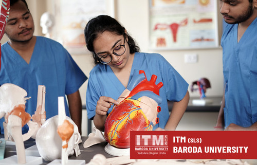 Best Physiotherapy Colleges in Vadodara Gujarat | ITMBU.jpg
