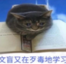 09a862d81d8e56d76e97e06d0b2ace6e.png