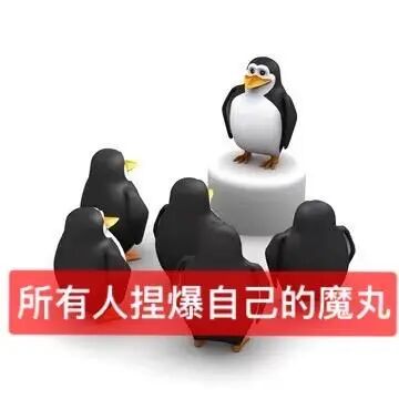 1000030402.jpg