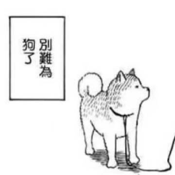 1000030403.jpg