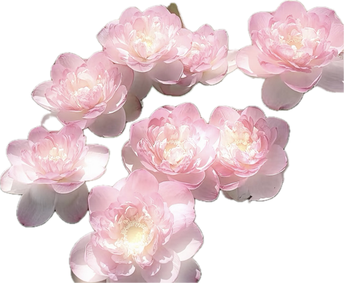 %E4%B8%BB%E9%A2%98%20(37).png