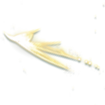 3.png