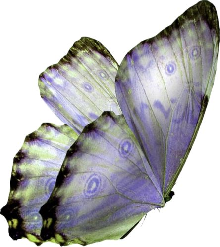 %E4%B8%BB%E9%A2%98%20(41).png