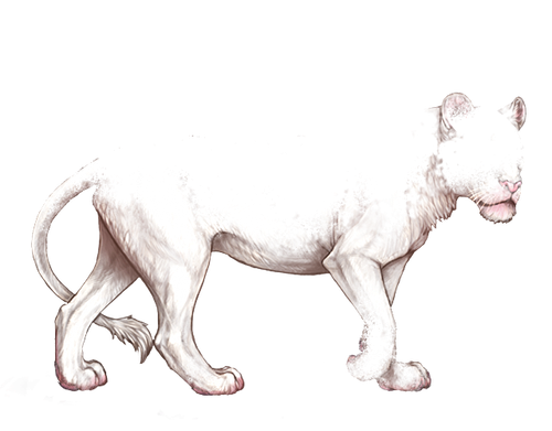 1000010276.png