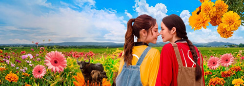 HometownRomance 1175x420.jpg