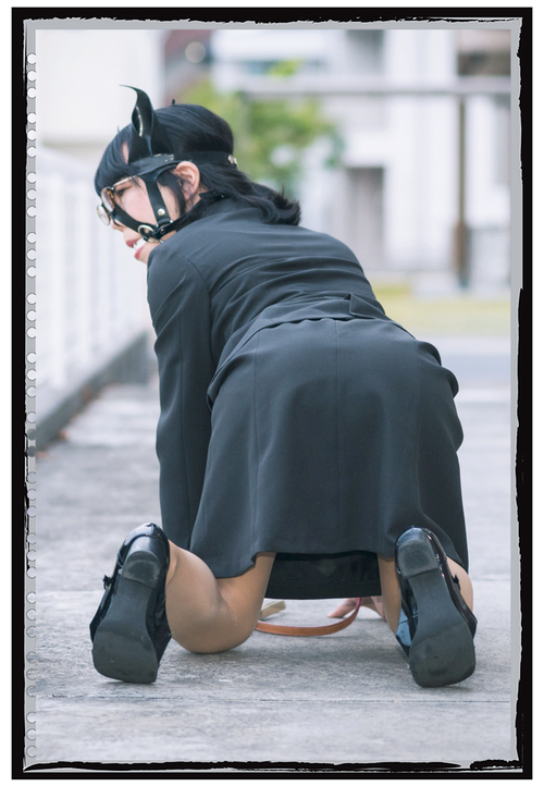 IMG 0160440.png
