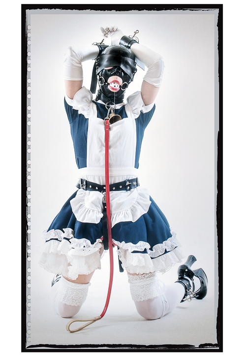 IMG 010570.png