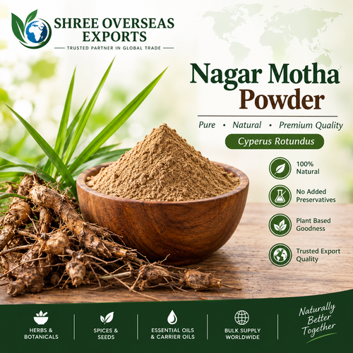 Organic Nagarmotha Powder for Global Bulk Buyers.png