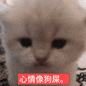 1000030426.gif