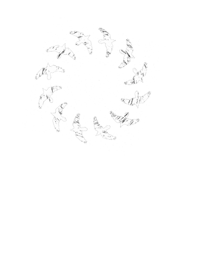 无标题4 20260925212329.png