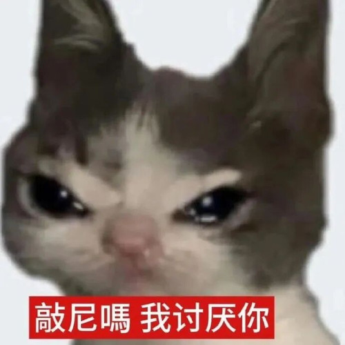 1000030444.jpg