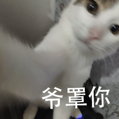 1000030452.gif