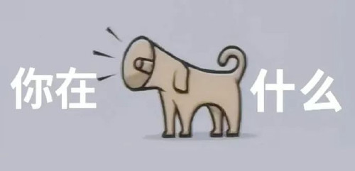 1000030449.jpg