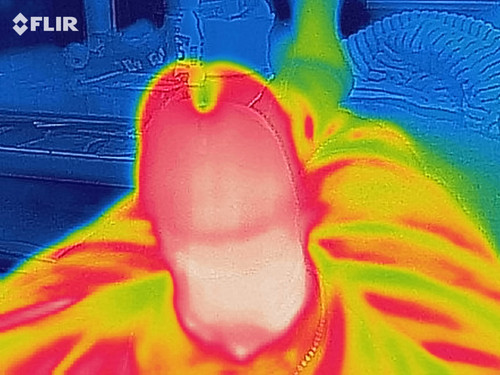 flir 20190131T213752.jpg