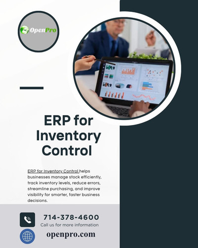 ERP for Inventory Control.jpg