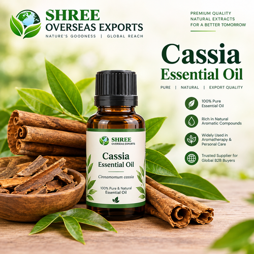 Cassia Essential Oil Wholesale Supplier Bulk Organic Supply for Global Buyers.png
