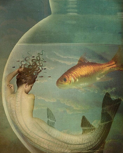 Dreamlike Art Catrin Welz Stein 6ab4f8e0c10b1 700.jpg