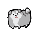 1000030617.gif