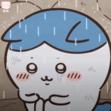 1000030621.gif