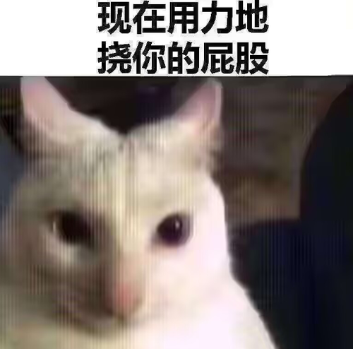 1000030550.png
