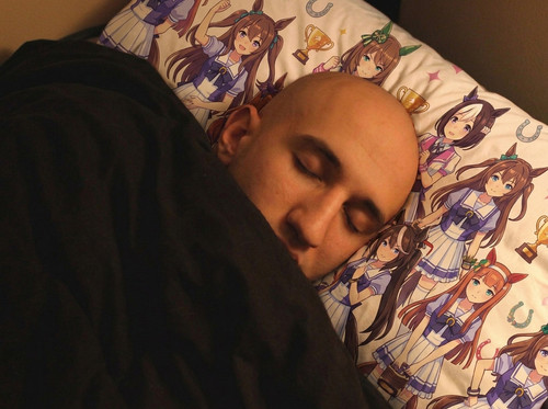 sleepingbaldyhorsegirl2.jpg