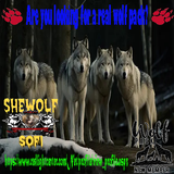 wolf pack
