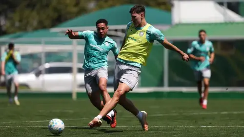 Palmeiras reabre treinos com 11 desfalques da Data Fifa e aposta em jovem malinês