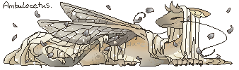 IsrafelAmbulocetus.png