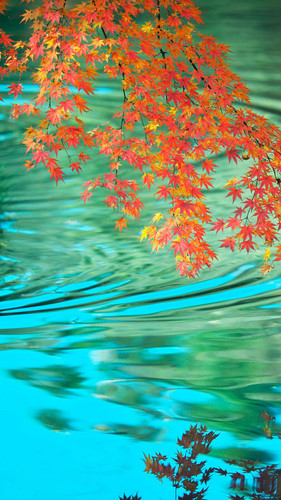 <mgzn-title><mgzn-cpname><mgzn-download><mgzn-contenturi><mgzn-pkgname><mgzn-content>.jpg