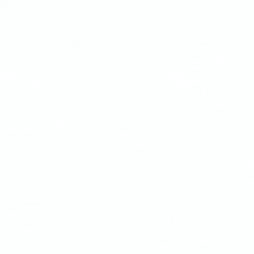 shopify app development.gif