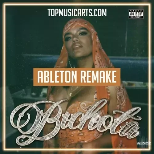 顶级音乐艺术 Karol G Bichota Ableton Remake(Reggaeton 模板)Ableton 项目文件 WAV AiFF Serum Presets-ARCADiA