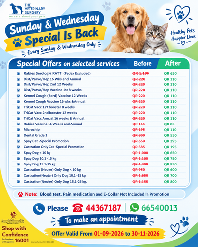Flyer Marketing (1).png