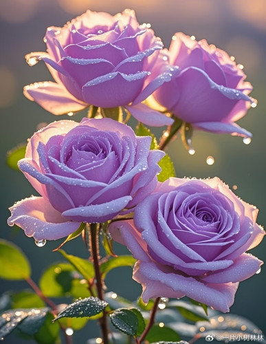 3ec56ab35c84a0bf1e19ce9f3c290aff.jpg