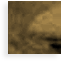 1000122266.png